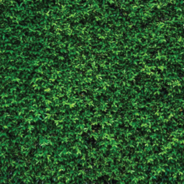 Background 3