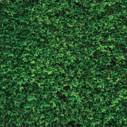 Background 3