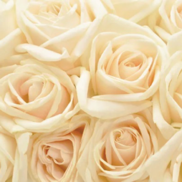Background 5
